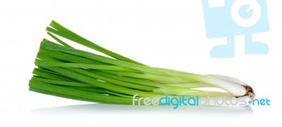 Green Onion Isolated On The White Background Stock Photo