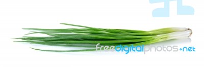 Green Onion Isolated On The White Background Stock Photo