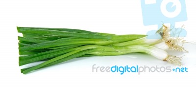 Green Onion Isolated On The White Background Stock Photo