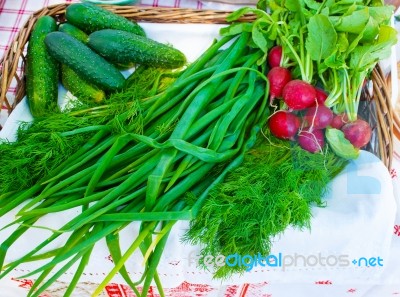 Green Onions, Radishes And Cucumbers On A Table Stock Photo