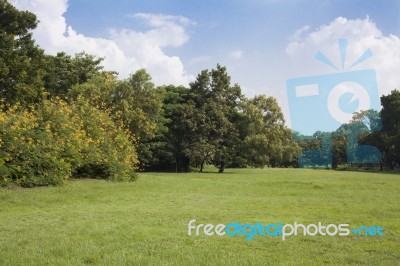 Green Park Stock Photo