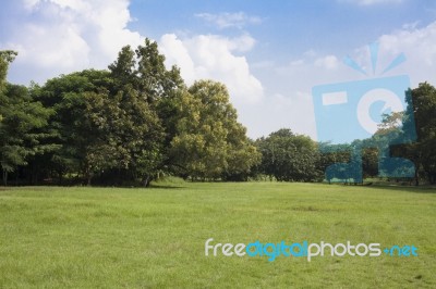 Green Park Stock Photo