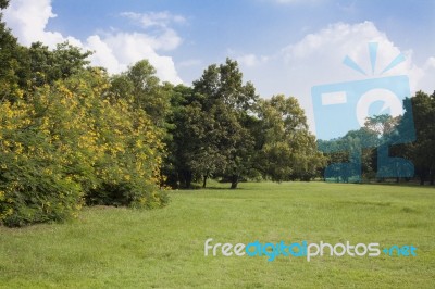 Green Park Stock Photo