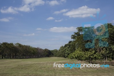 Green Park Stock Photo