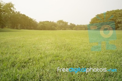 Green Park Scenery Stock Photo