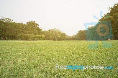 Green Park Scenery Stock Photo