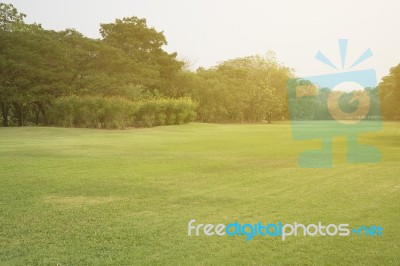 Green Park Scenery Stock Photo