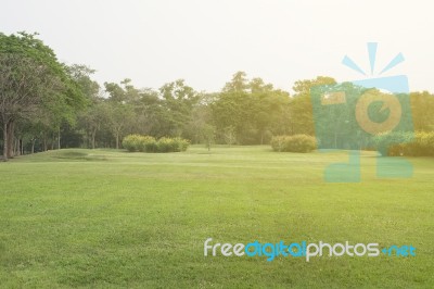 Green Park Scenery Stock Photo