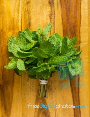 Green Peppermint Stock Photo