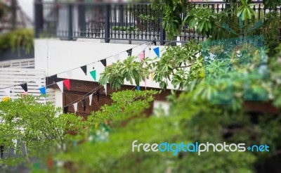 Green Plants On Rooftop Garden Stock Photo