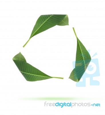 Green Recycle Leaves Stock Photo