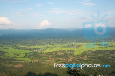 Green Rice Field View Point From Mountain Stock Photo