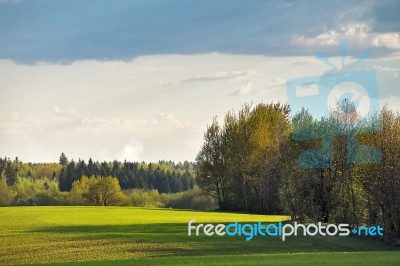 Green Spring Fields. Sunny Day Stock Photo