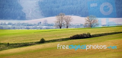 Green Spring Hills In Slovakia. April Sunny Countryside Stock Photo