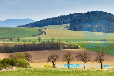 Green Spring Hills In Slovakia. April Sunny Countryside Stock Photo