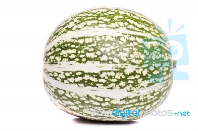 Green Striped Pumpkin Stock Photo