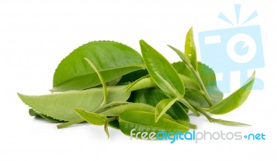 Green Tea Leaf Isolated On White Background Stock Photo