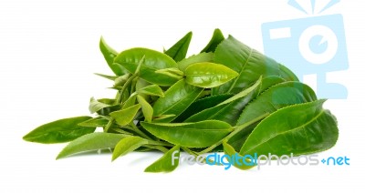 Green Tea Leaf Isolated On White Background Stock Photo