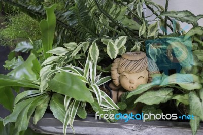 Green View Indoor Home Garden Stock Photo