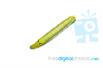 Green Worm White Background Stock Photo