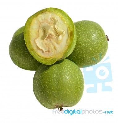 Green Young Walnuts Stock Photo