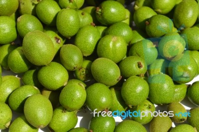 Green Young Walnuts Stock Photo