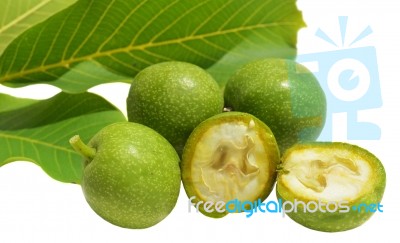 Green Young Walnuts In Husks Stock Photo