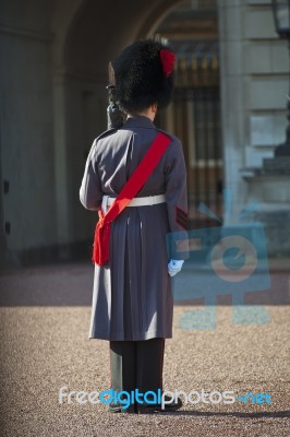 Grenadier Guard Wearing Winter Coat Stock Photo