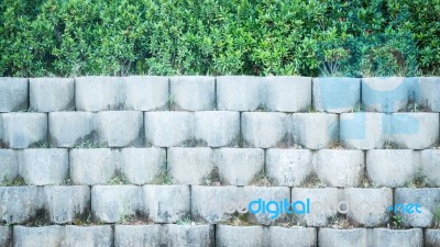 Grey Brick Block Wall In The Garden Stock Photo