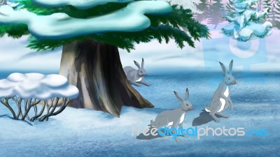 Grey Bunnies In Winter Stock Image