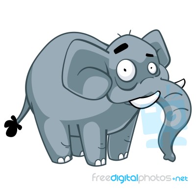 Grey Elephant Stock Image