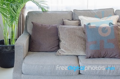 Grey Modern Sofa With Pillows And Black Vase Of Plants Stock Photo