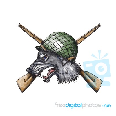 Grey Wolf Ww2 Helmet Crossed Rifles Tattoo Stock Image