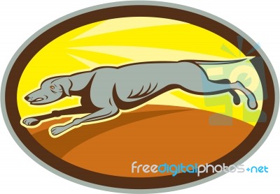 Greyhound Dog Jumping Side Oval Cartoon Stock Image