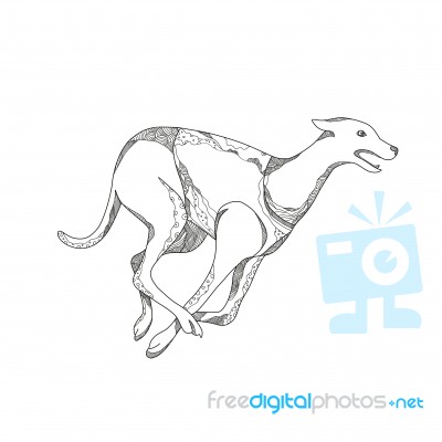 Greyhound Running Doodle Art Stock Image