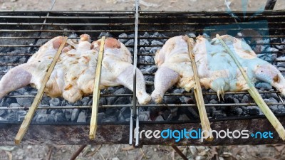 Grilled Chicken Stock Photo