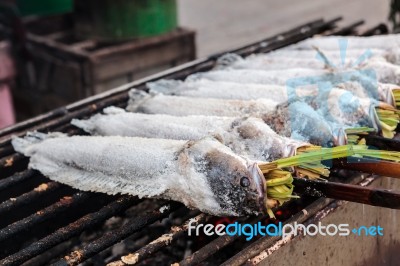 Grilled Fish Stock Photo