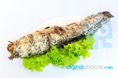 Grilled Salted Catfish Stock Photo