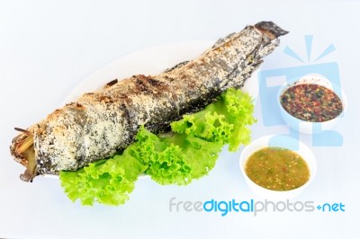 Grilled Salted Catfish Stock Photo