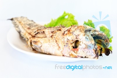 Grilled Salted Catfish Stock Photo