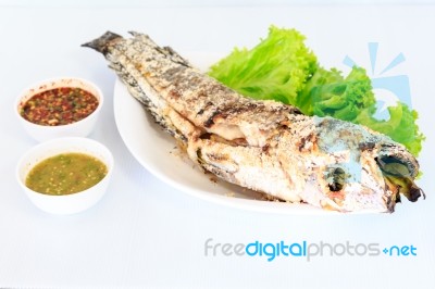 Grilled Salted Catfish Stock Photo