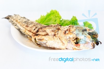 Grilled Salted Catfish Stock Photo