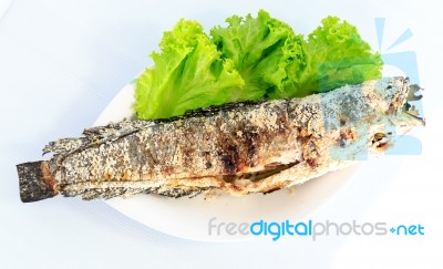 Grilled Salted Catfish Stock Photo