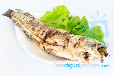 Grilled Salted Catfish Stock Photo