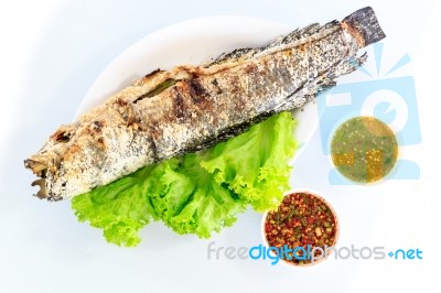 Grilled Salted Catfish Stock Photo