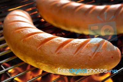 Grilled Sausage Stock Photo