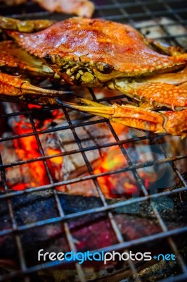  Grilled Seafood Stock Photo