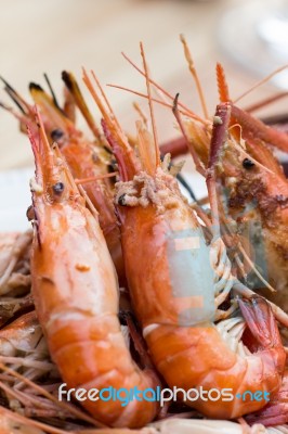 Grilled Shrimp Stock Photo