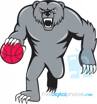 Grizzly Bear Angry Dribbling Basketball Isolated Stock Image