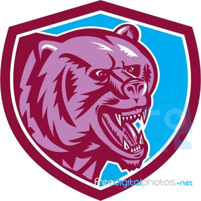 Grizzly Bear Angry Head Shield Retro Stock Image